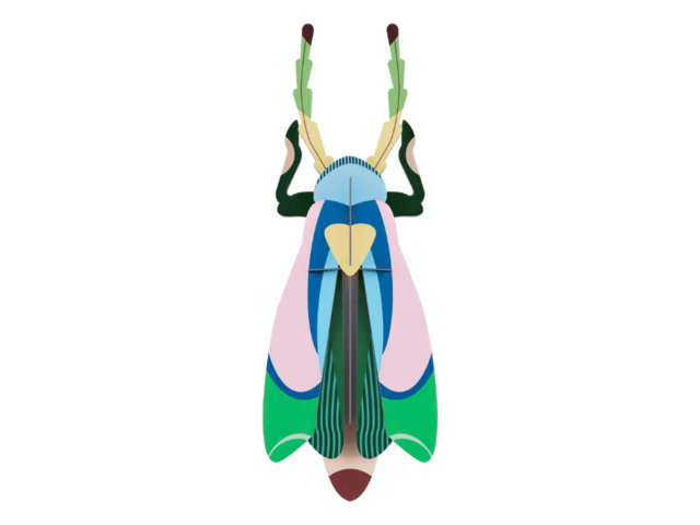 Studio Roof Wanddekoration SAKURA BEETLE mehrfarbig 97538 1