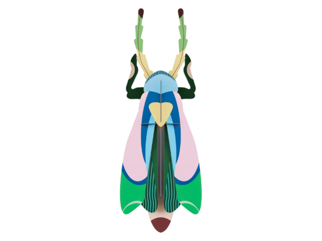 Studio Roof Wanddekoration SAKURA BEETLE mehrfarbig 97538