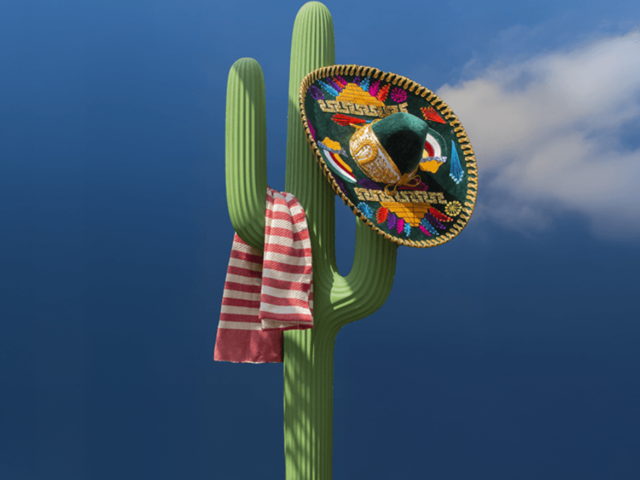 qeeboo Outdoor-Garderobenständer SAGUARO grün 96337 2