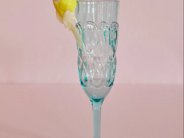 Rice Glas ACRYLIC CHAMPAGNE GLASS mint 72842 2