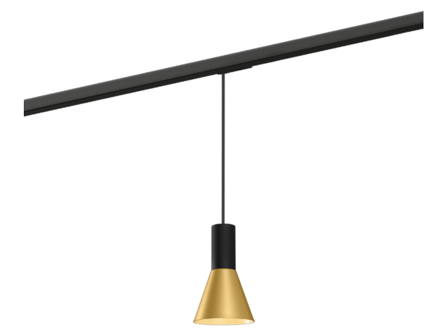 Wever & Ducré Hängelampe Odrey-on-track schwarz 76254 1