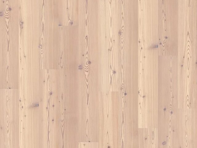 Landhausdiele Lärche / Astig / gebürstet / weiß geölt 76168 1