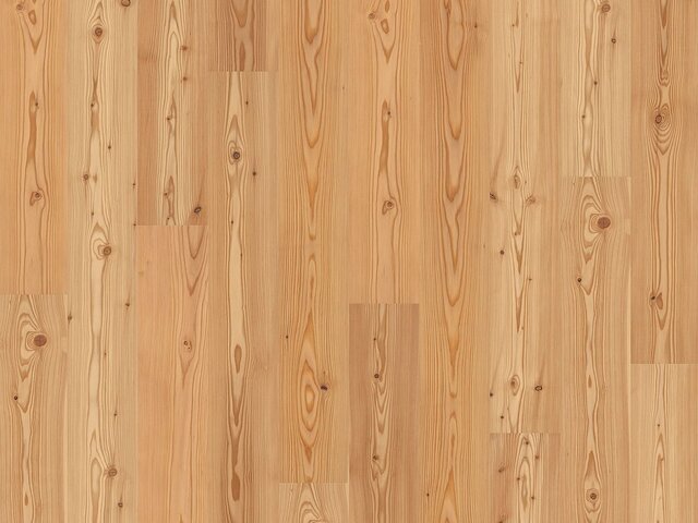 Landhausdiele Lärche / Astig / gebürstet / geölt 76167 1