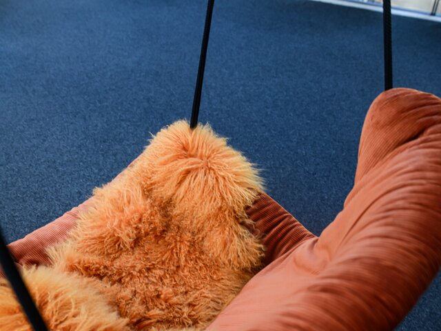 freifrau Hängesessel Leya, orange 68145 5