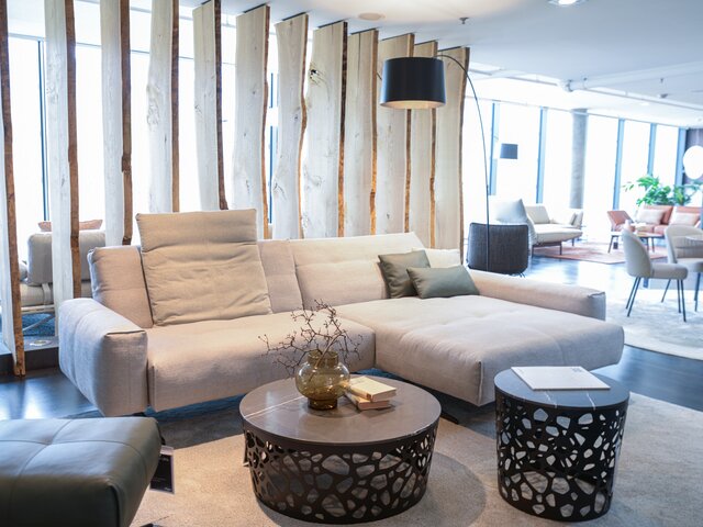 Rolf Benz Sitzgarnitur 50 Lounge silbergrau 72329 2