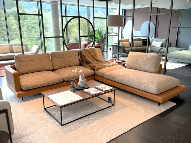 Rolf Benz Garnitur Sina 60 ockerbraun 70131 2 Rolf Benz Garnitur Sina 60 ockerbraun 70131 2