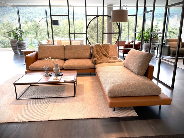 Rolf Benz Garnitur Sina 60 ockerbraun 70131 9 Rolf Benz Garnitur Sina 60 ockerbraun 70131 9