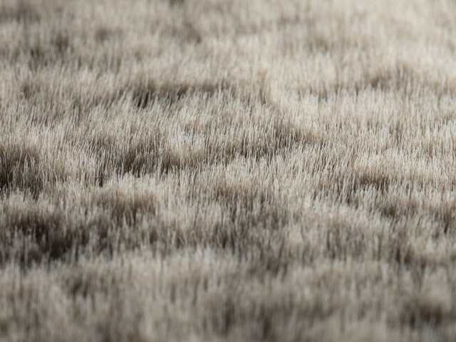 Jab Paspelteppich Racoon hellbraun 68709