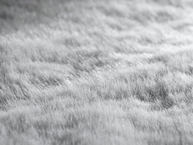 Jab Paspelteppich Mink hellgrau 68710