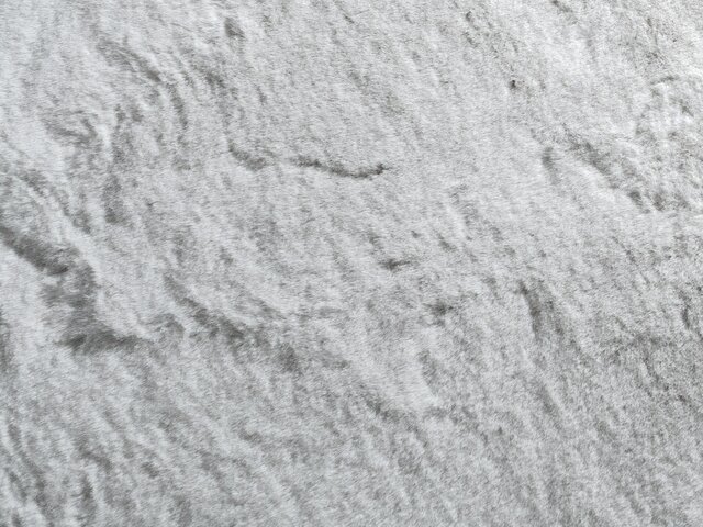 Jab Paspelteppich Mink hellgrau 68710 2