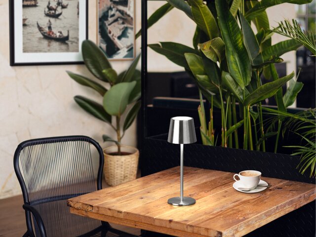 FH Tischleuchte ROXI nickel matt 76815 2 FH Tischleuchte ROXI nickel matt 76815 2