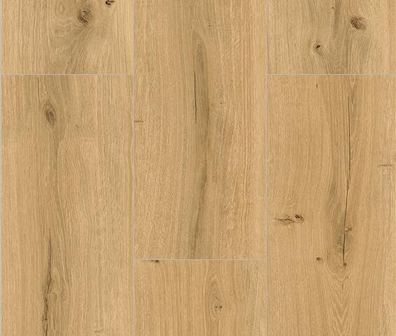 Vinyl Klick HDF Economy / Roheiche / ultramatt / leicht gebürstet / glattkant 66695 1