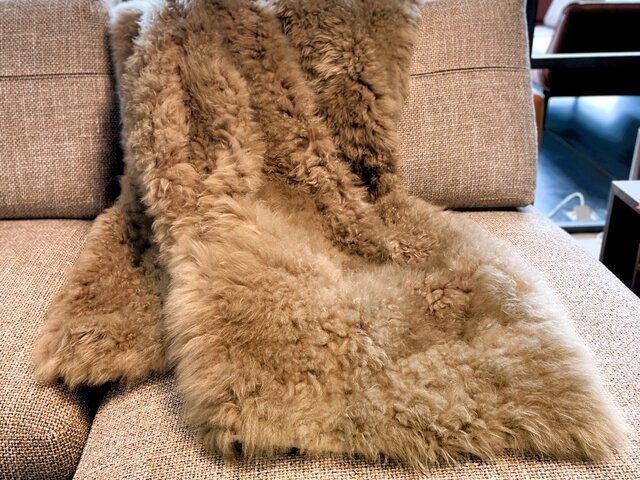 Magma Cashmere Plaid taupe 34602 1