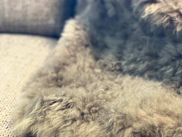 Magma Cashmere Plaid taupe 34602 2