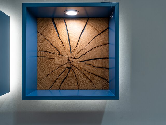 RMW Wandregal Dryad 96003 lago 11385 2