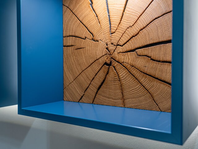 RMW Wandregal Dryad 96003 lago 11385 5