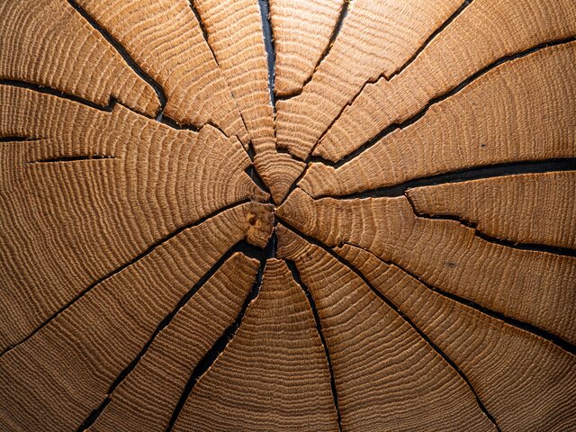 RMW Wandregal Dryad 96003 lago 11385 8