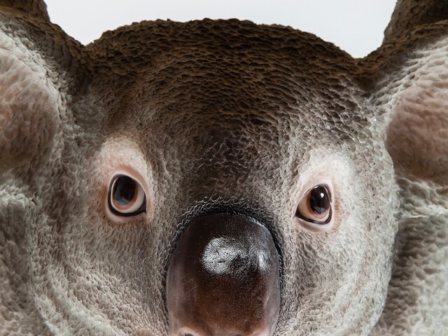 Kare Beistelltisch Animal Koala Ø33cm 64461 2