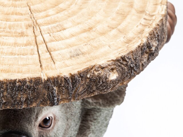 Kare Beistelltisch Animal Koala Ø33cm 64461 3