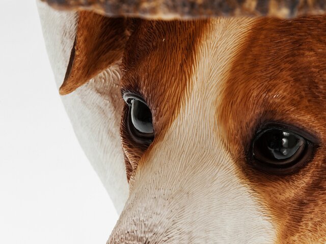 Kare Beistelltisch Animal Mr Jack Ø33cm 64466 2