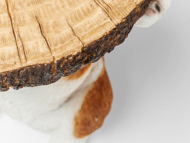 Kare Beistelltisch Animal Mr Jack Ø33cm 64466 3