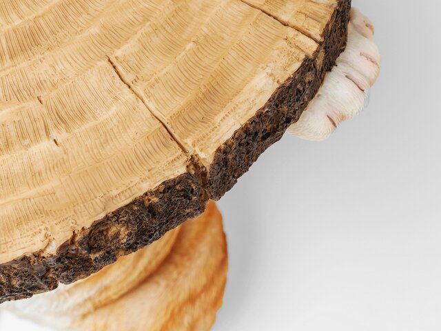 Kare Beistelltisch Animal Ms Cat Ø33cm 64468 3 Kare Beistelltisch Animal Ms Cat Ø33cm 64468 3