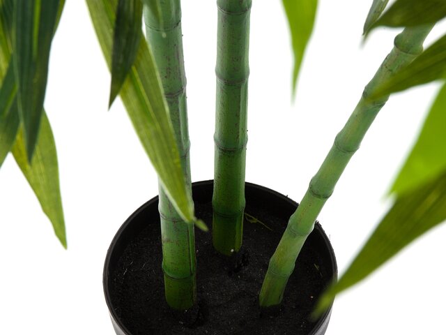 Kare Deko Pflanze Bamboo Tree 200cm 64454 3 Kare Deko Pflanze Bamboo Tree 200cm 64454 3