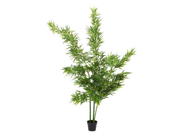 Kare Deko Pflanze Bamboo Tree 200cm 64454 1 Kare Deko Pflanze Bamboo Tree 200cm 64454 1