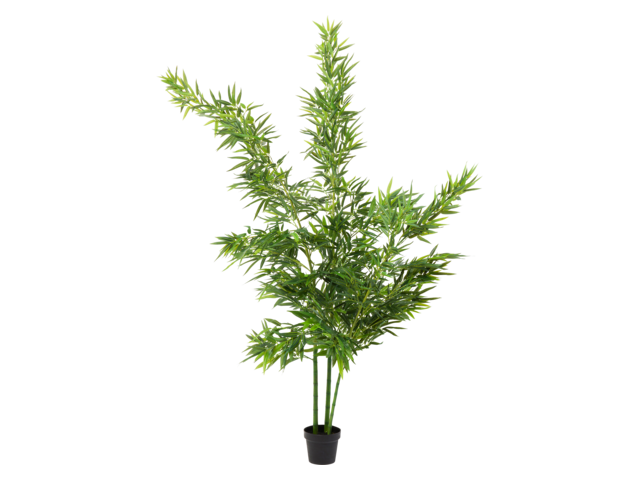 Kare Deko Pflanze Bamboo Tree 200cm 64454 Kare Deko Pflanze Bamboo Tree 200cm 64454