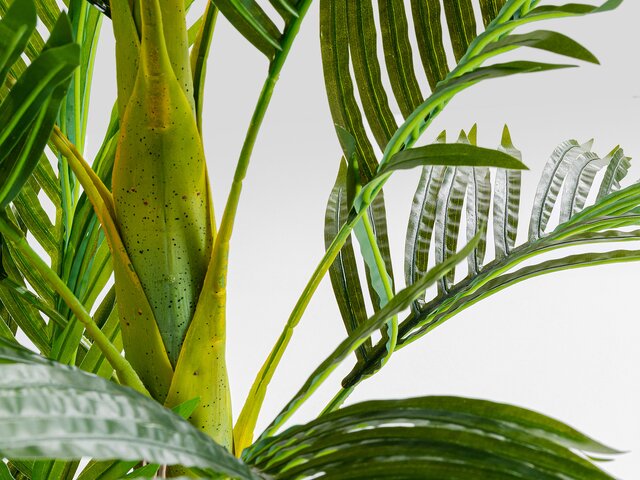 Kare Deko Pflanze Palm Tree 190cm 64477 2 Kare Deko Pflanze Palm Tree 190cm 64477 2