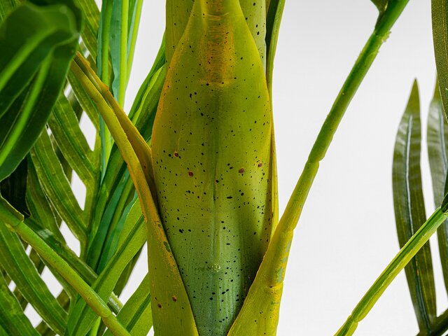 Kare Deko Pflanze Palm Tree 190cm 64477 3 Kare Deko Pflanze Palm Tree 190cm 64477 3