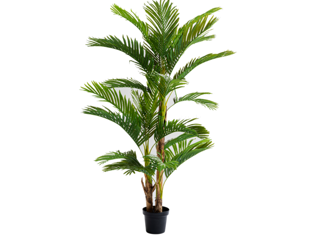 Kare Deko Pflanze Palm Tree 190cm 1