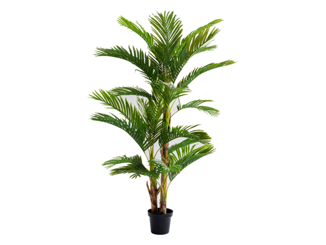 Kare Deko Pflanze Palm Tree 190cm 64477 1 Kare Deko Pflanze Palm Tree 190cm 64477 1