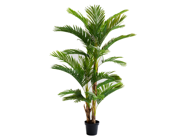 Kare Deko Pflanze Palm Tree 190cm 64477 Kare Deko Pflanze Palm Tree 190cm 64477
