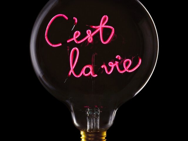 Message-in-the-bulb LED-Textglühbirne Ampoule C'est la Vie 69613 1