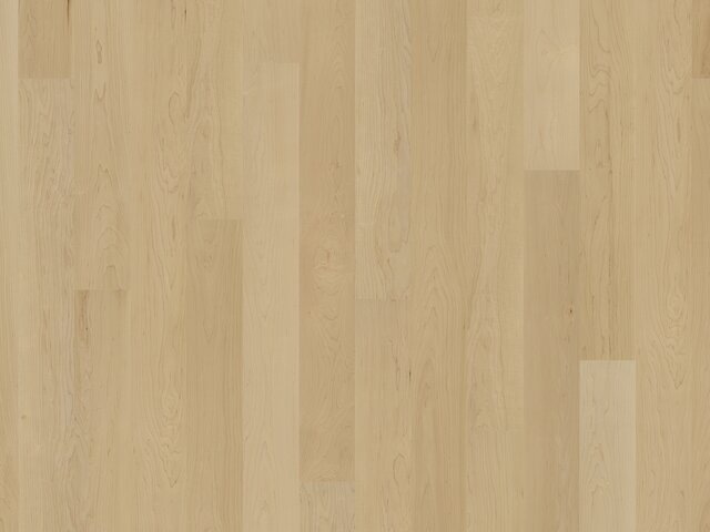 Landhausdiele Ahorn kanadisch / Natur / Natur geölt / geschliffen 75686 1