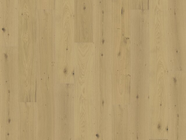 Landhausdiele Eiche / Astig / leicht weiß geölt / gebürstet 75722 Landhausdiele Eiche / Astig / leicht weiß geölt / gebürstet 75722