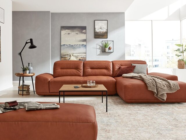 Sofas & Couches Sofas & Couches