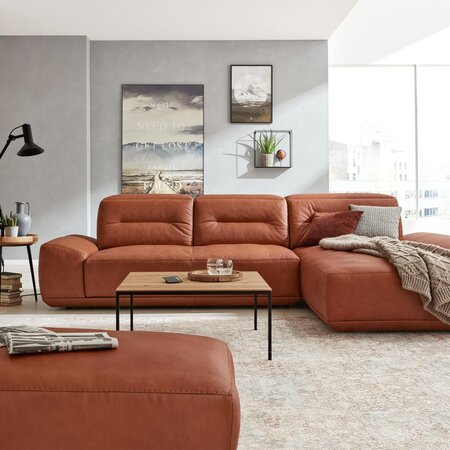 Sofas &amp; Couches