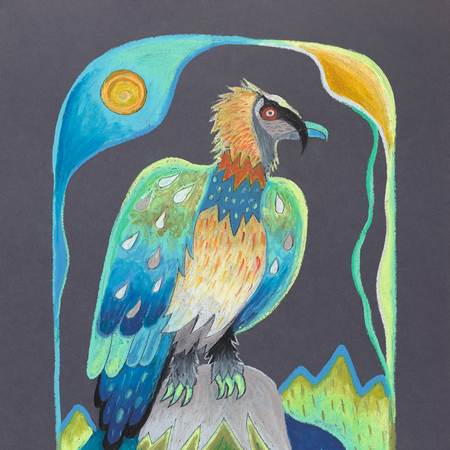 Bartgeier | 50 x 40 cm