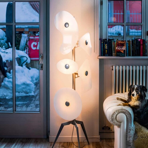 Licht mit Persönlichkeit